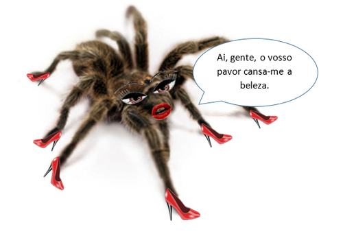 aranha.png aranha.png