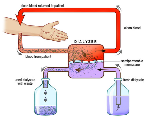 case224_f01.jpg