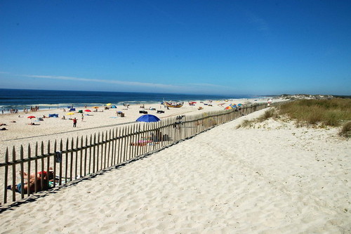 DSC_0396_resize_5[1].jpg