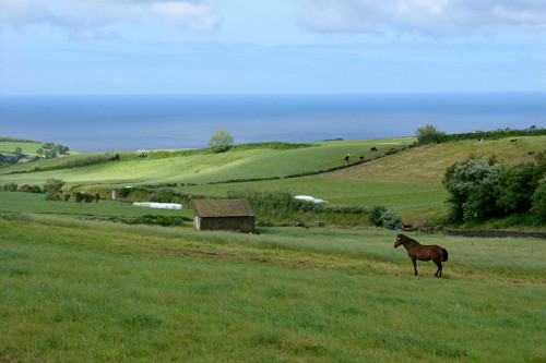 Blogue_paisagem1_Açores2005.jpg