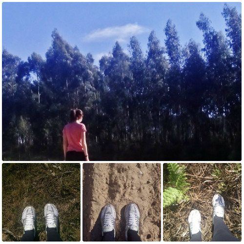bb dos bosques.jpg bb dos bosques.jpg