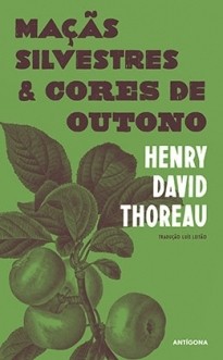 T Luís leitão, 16 ensaios.jpg