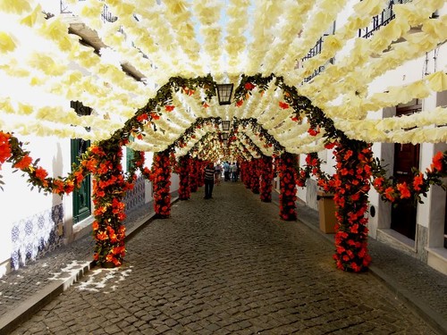 Festas 4.jpg Festas 4.jpg