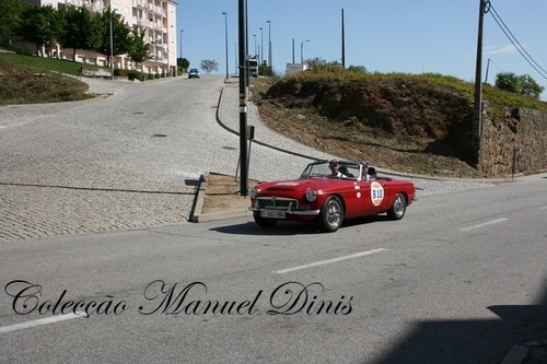 IMG_1229.JPG