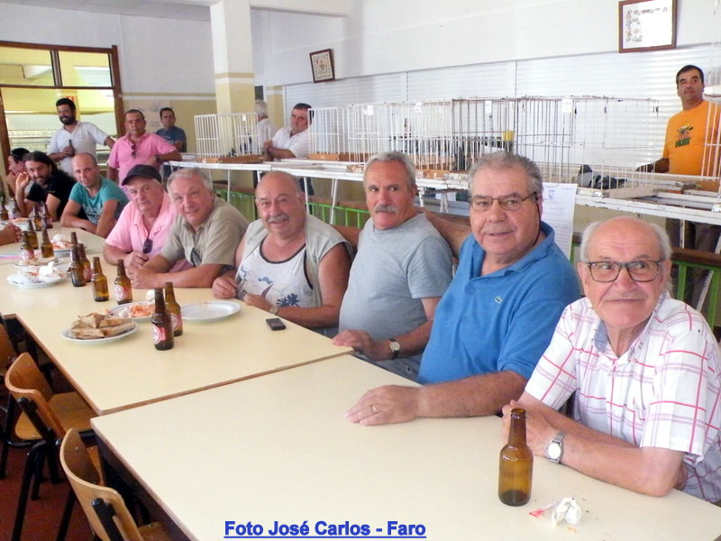 Leilão de Ourique 2016 037.JPG Leilão de Ourique 2016 037.JPG
