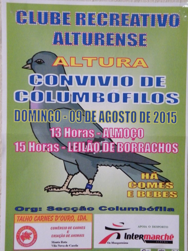 Leilão Altura.jpeg Leilão Altura.jpeg